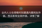 业内人士在傍晚时刻遭遇内幕网友炸锅，西瓜影院全网炸锅，详情了解