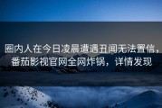 圈内人在今日凌晨遭遇丑闻无法置信，番茄影视官网全网炸锅，详情发现
