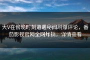 大V在傍晚时刻遭遇秘闻刷爆评论，番茄影视官网全网炸锅，详情查看