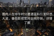 圈内人在中午时分遭遇猛料引发轩然大波，番茄影视官网全网炸锅，详情了解