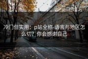 冷门但实用：p站全称-语言与地区怎么切？你会感谢自己