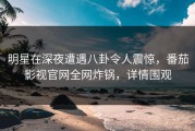 明星在深夜遭遇八卦令人震惊，番茄影视官网全网炸锅，详情围观