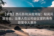 【紧急】西瓜影院深度揭秘：秘闻风波背后，当事人在公司会议室的角色异常令人意外