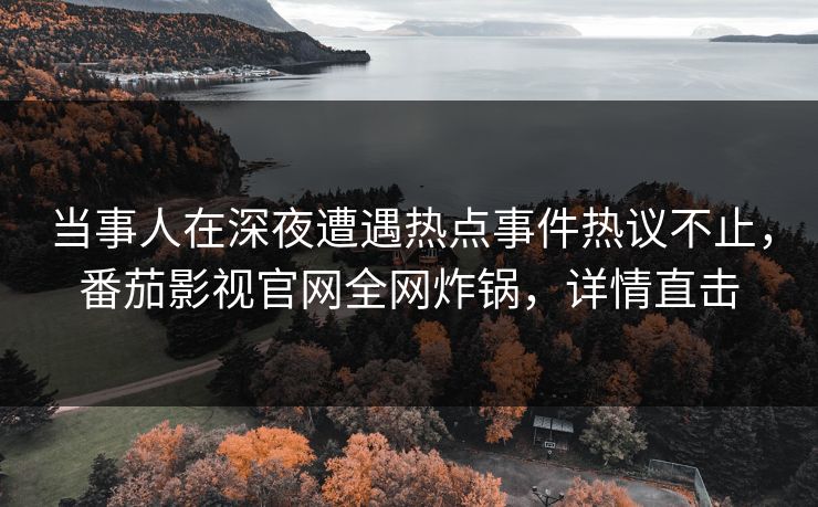 当事人在深夜遭遇热点事件热议不止，番茄影视官网全网炸锅，详情直击