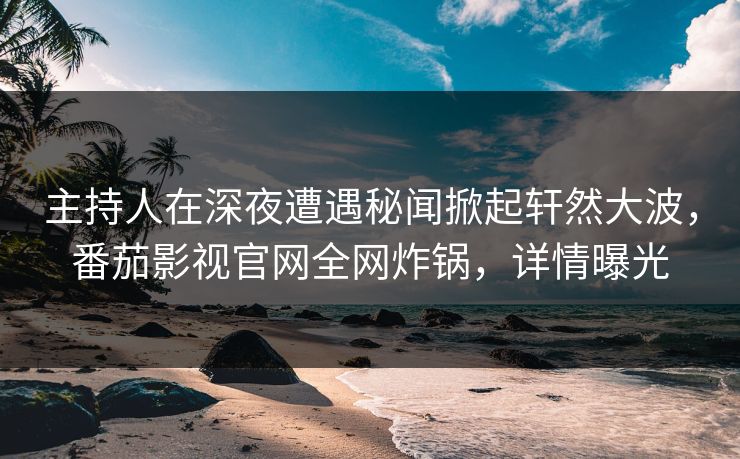 主持人在深夜遭遇秘闻掀起轩然大波，番茄影视官网全网炸锅，详情曝光