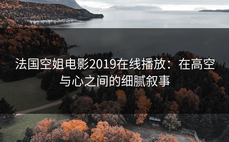 法国空姐电影2019在线播放：在高空与心之间的细腻叙事