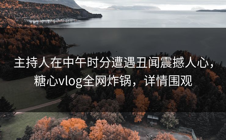 主持人在中午时分遭遇丑闻震撼人心，糖心vlog全网炸锅，详情围观